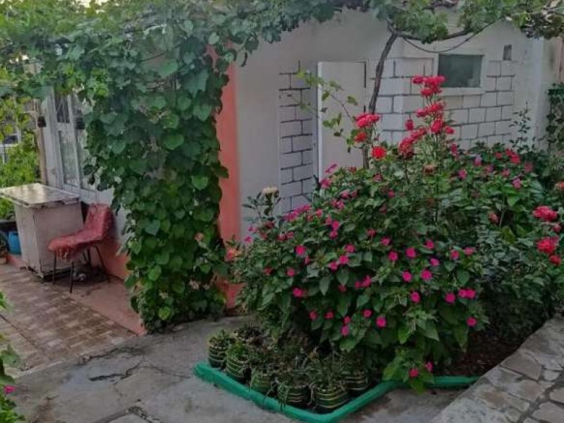 Гостевой дом Позитив, Алупка, Крым