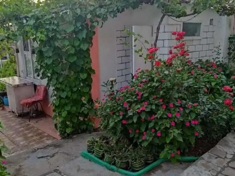 Гостевой дом Позитив, Алупка, Крым