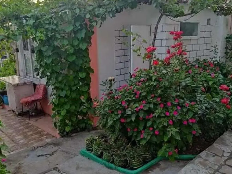 Гостевой дом Позитив, Алупка, Крым