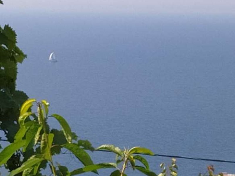 Гостевой дом Позитив, Крым: фото 2