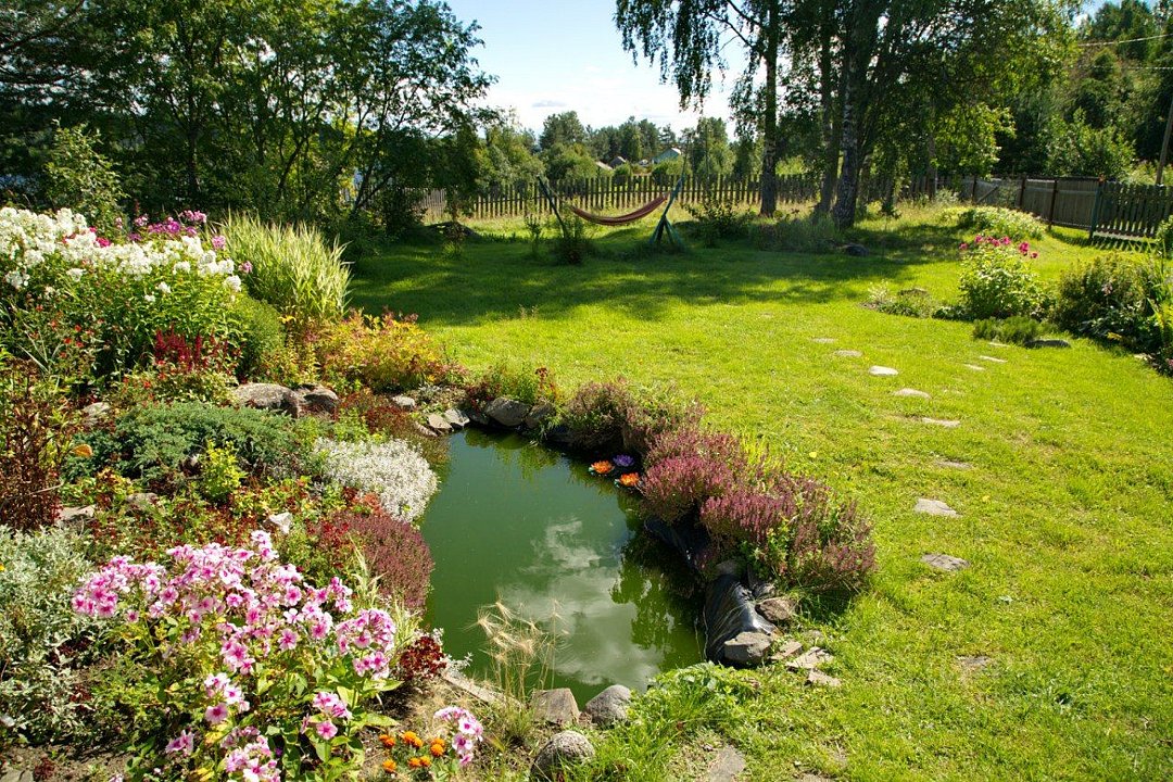 Домик на Хуторе, Республика Карелия: фото 4