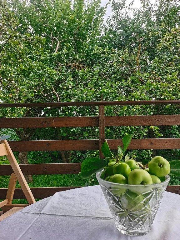 Лаванда СПА, Ленинградская область: фото 3