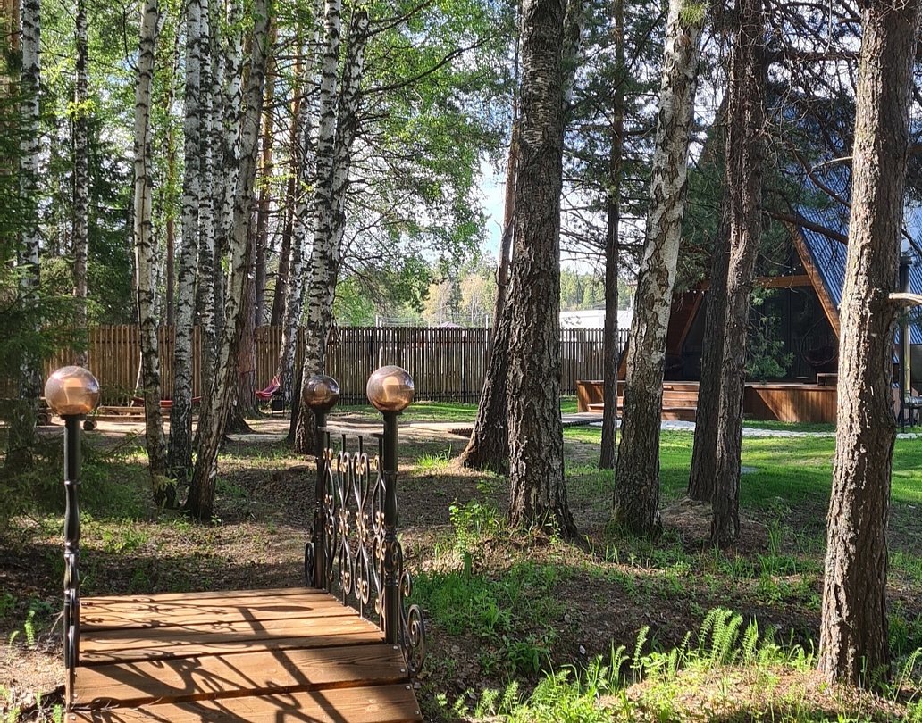 Территория | Елки. Дом у леса, Тюменская область