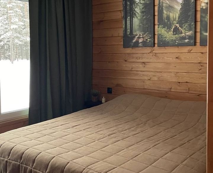 Дом 2-местный 2-комнатный (Зеленая хижина)