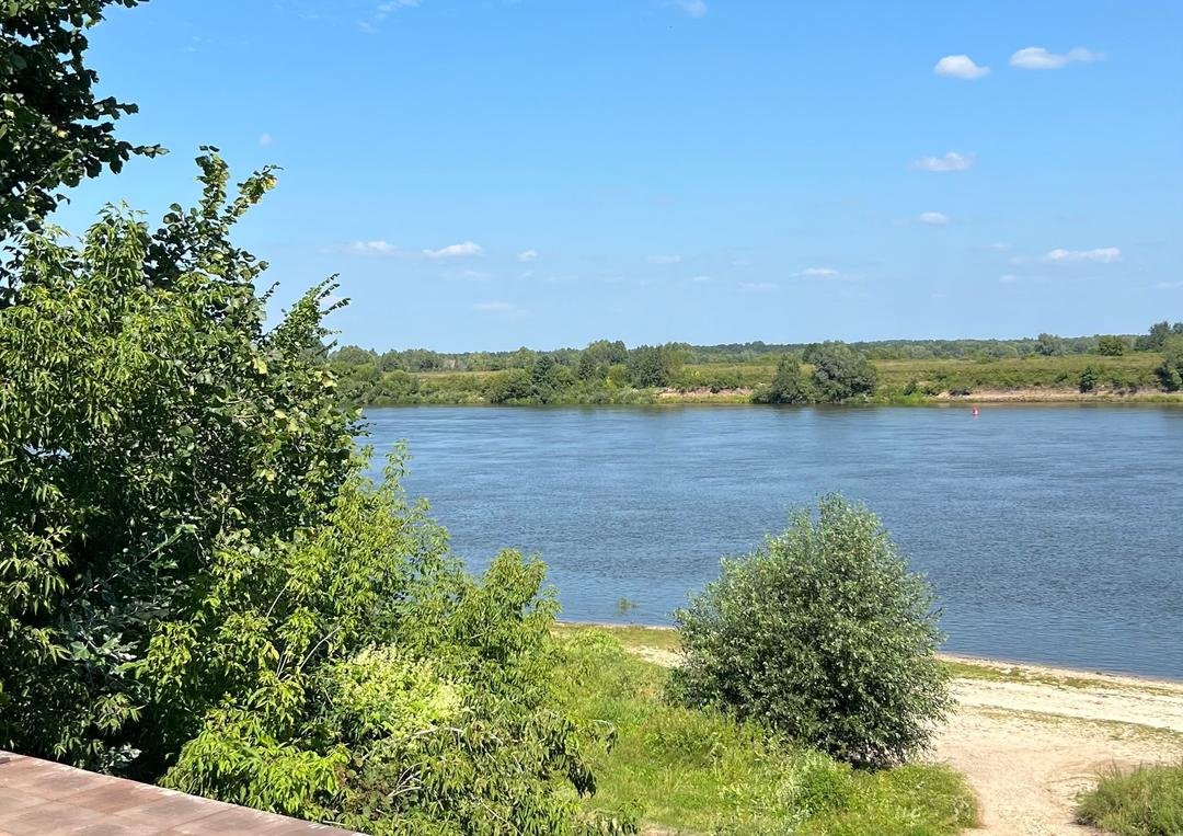 Салана, Владимирская область: фото 5