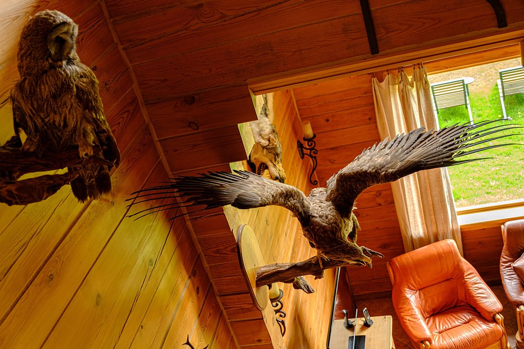 Коттедж 11-местный (Соколиная охота)