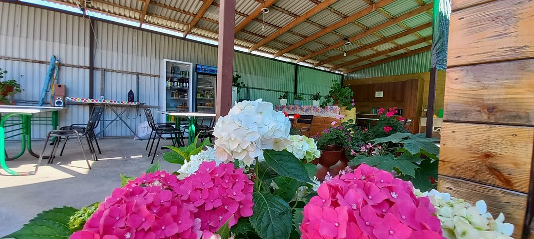 Морской Бриз, Гагрский район: фото 5