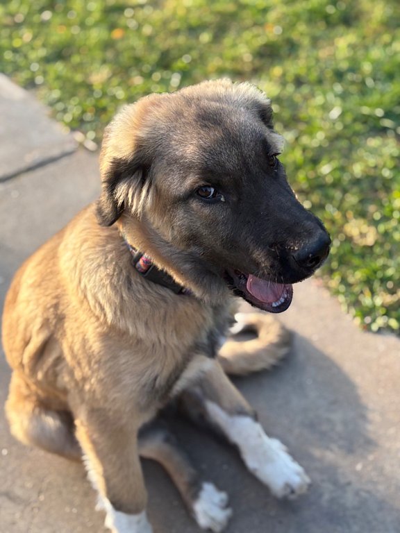 Фото из отзыва от 05.10.2025