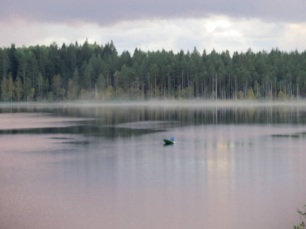 Фото из отзыва от 22.09.2025