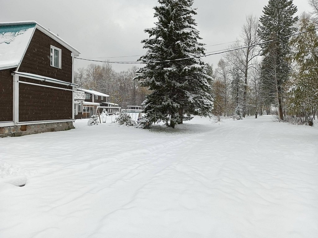 Фото из отзыва от 11.10.2025