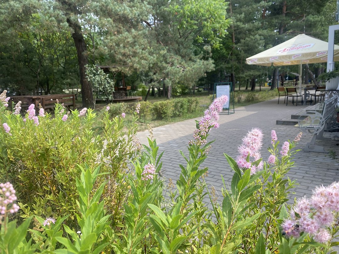 Территория | Парк Полянка, Брестская область