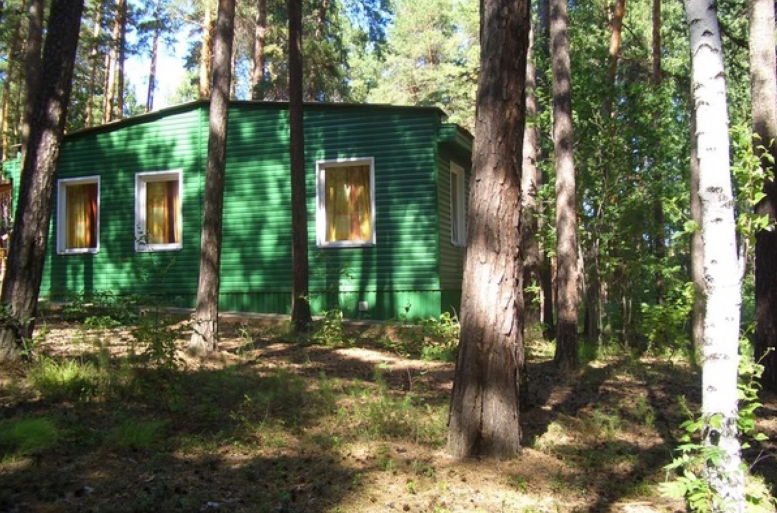 Каракан-река, Новосибирская область: фото 2