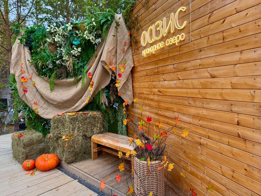 Оазис, Новосибирская область: фото 3