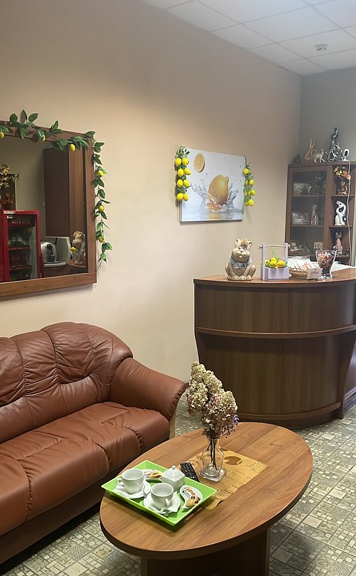 Мини-отель Лимон на Шостаковича, Ленинградская область, Санкт-Петербург 