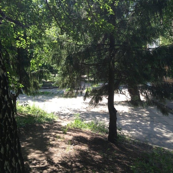 Поволжье, Самарская область: фото 3