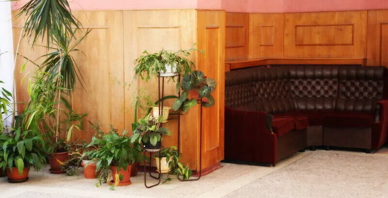 Театральный, Ленинградская область: фото 2