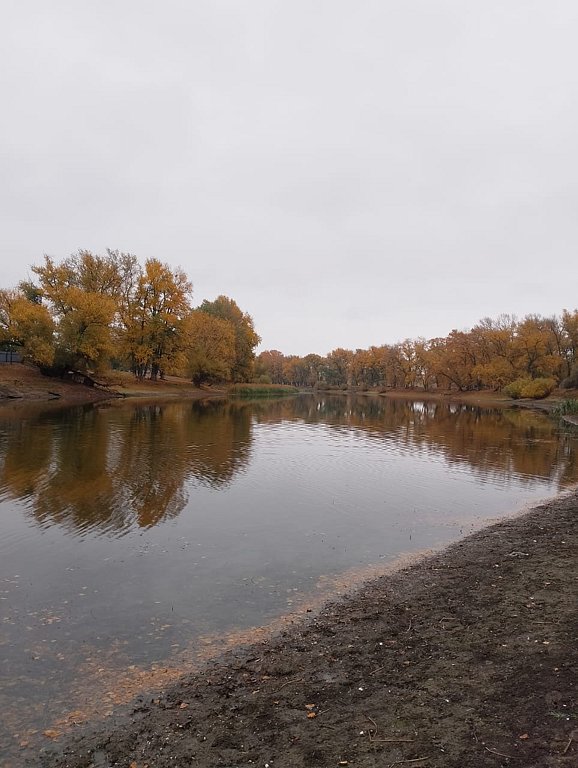 Фото из отзыва от 10.10.2025