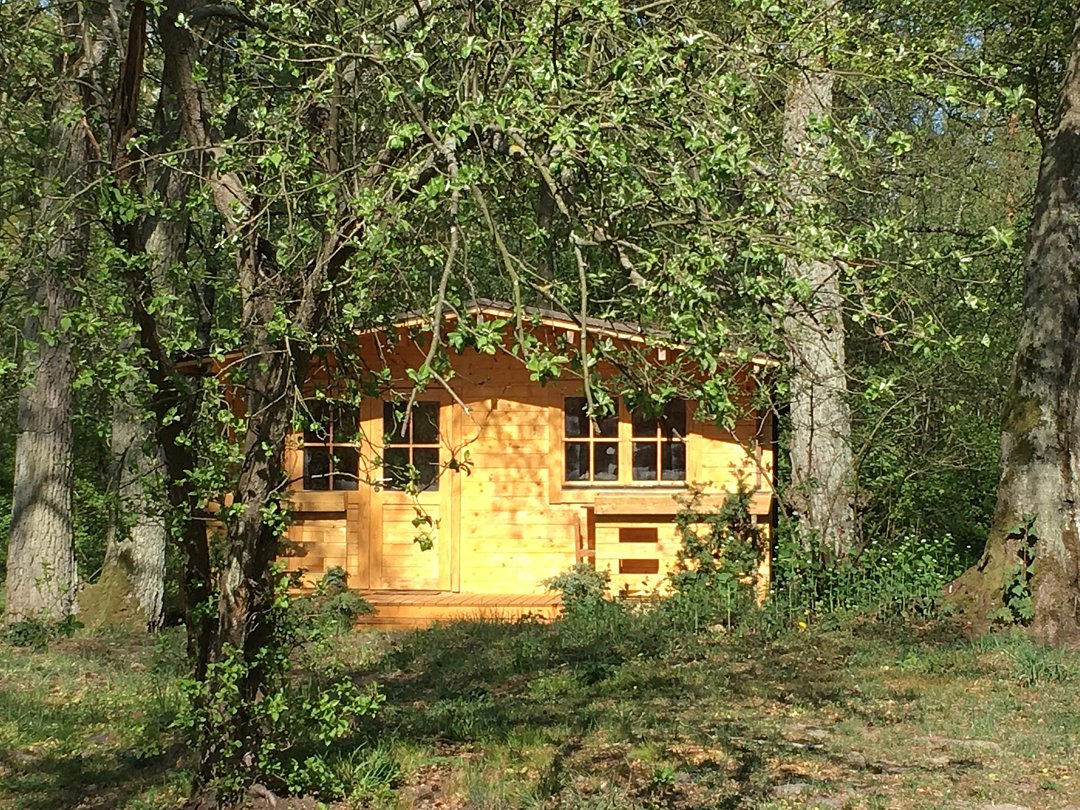 Домик 2-местный 1-комнатный (TWIN, с 2-х ярусной кроватью)