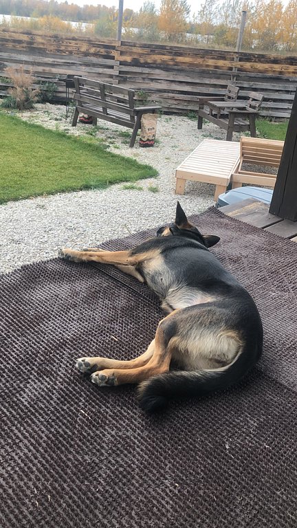 Фото из отзыва от 08.10.2025