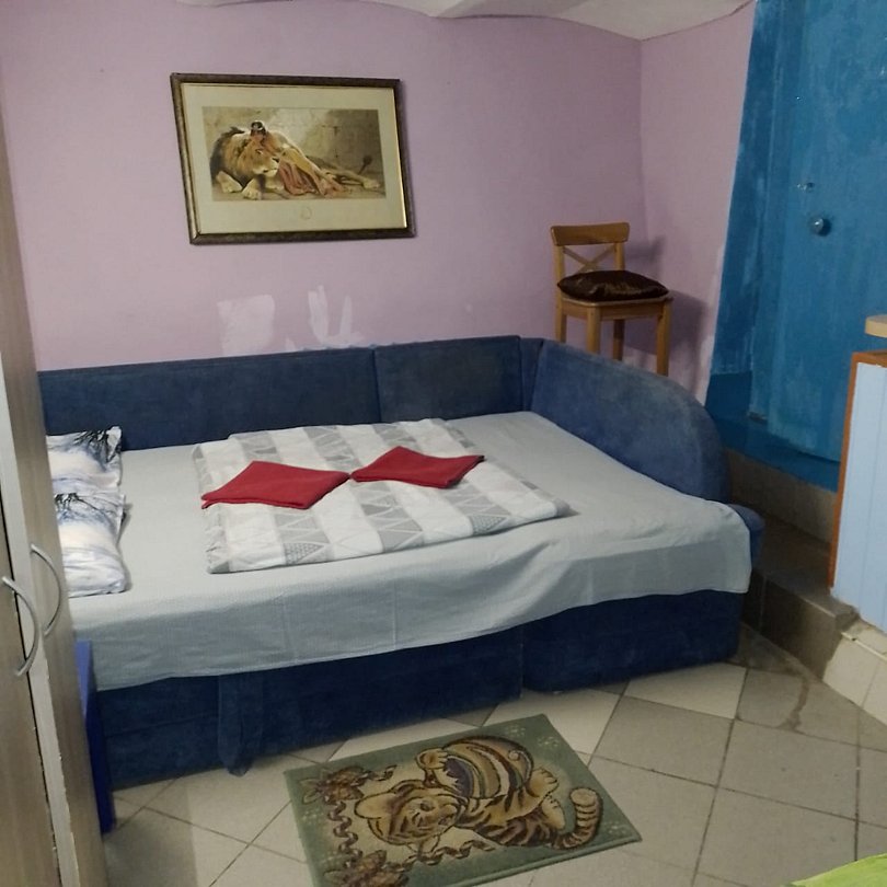 Северная Звезда, Ленинградская область: фото 4