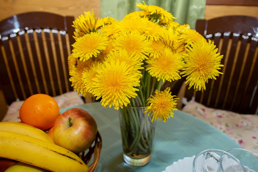 Коттедж 2-местный 1-комнатный (Малый)