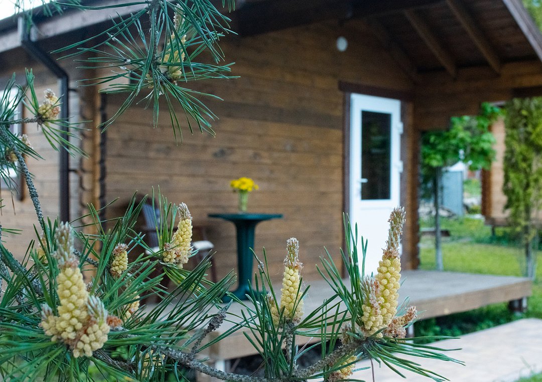 Коттедж 2-местный 1-комнатный (Малый)