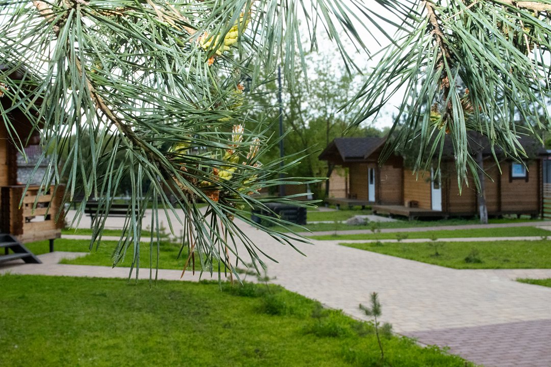 Коттедж 2-местный 1-комнатный (Малый)