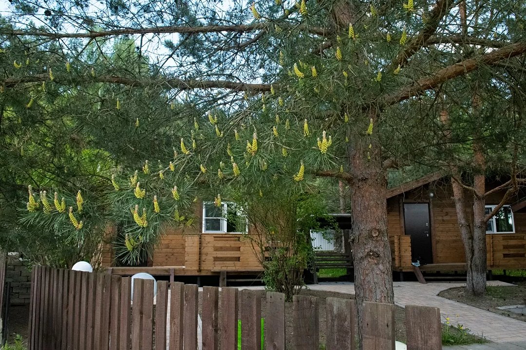 Коттедж 4-местный 1-комнатный (Большой)