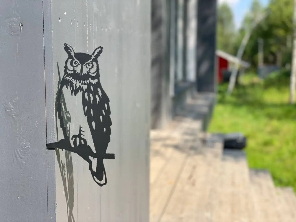 Якунино-Дача Дом Совы, Московская область: фото 3