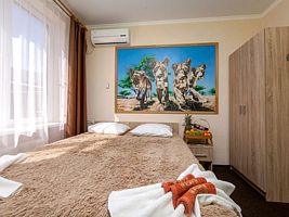 Двухместный номер с 1 кроватью комфорт 7 -, Гостевой дом Счастливый слон, Адлер