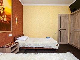 Двухместный номер с 2 отдельными кроватями стандарт 1, Гостевой дом Счастливый слон, Адлер