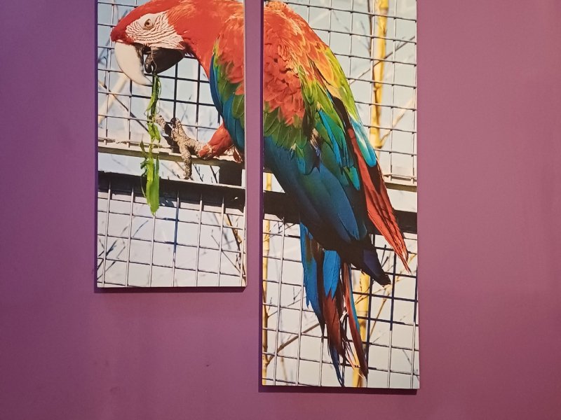 Усадьба Лазаревых, Пермский край: фото 3