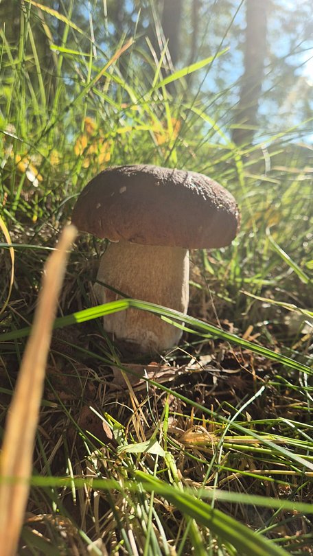 Фото 4 из отзыва о базе отдыха Лесное озеро