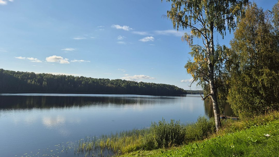 Фото 2 из отзыва о базе отдыха Лесное озеро