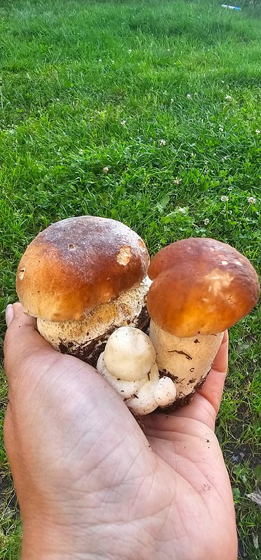 Фото 3 из отзыва о базе отдыха Лесное озеро