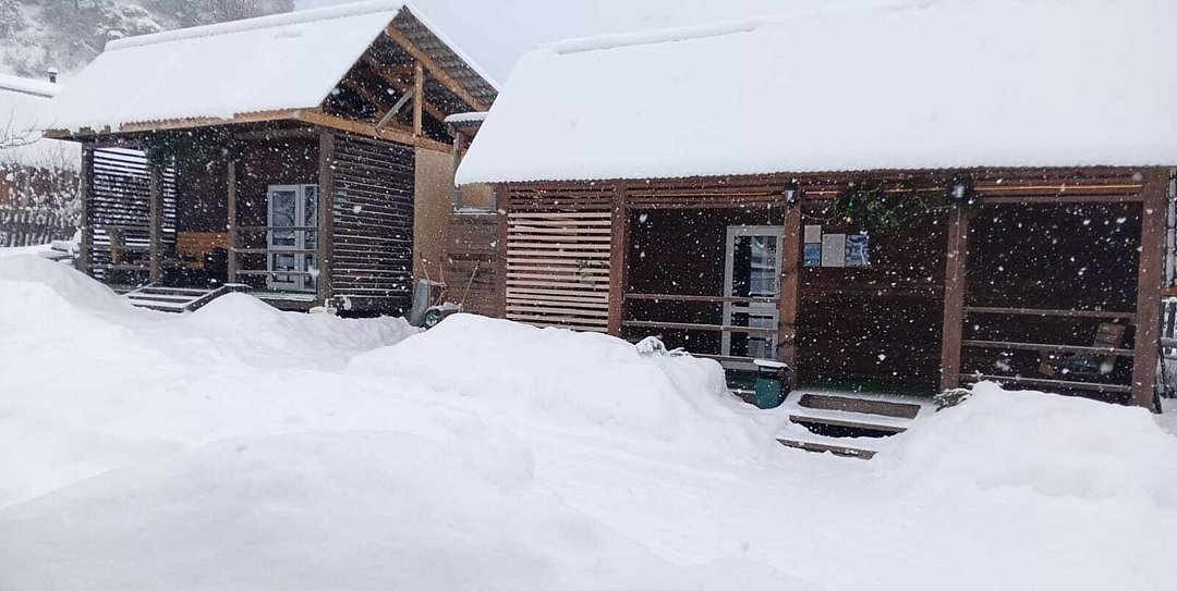 Студия 4-местный