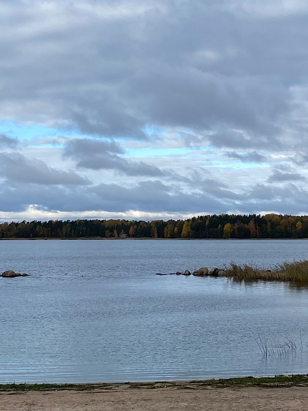 Фото 1 из отзыва о базе отдыха Окуневая