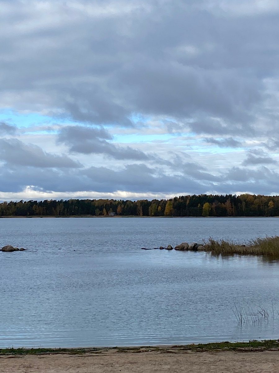 Фото 1 из отзыва о базе отдыха Окуневая