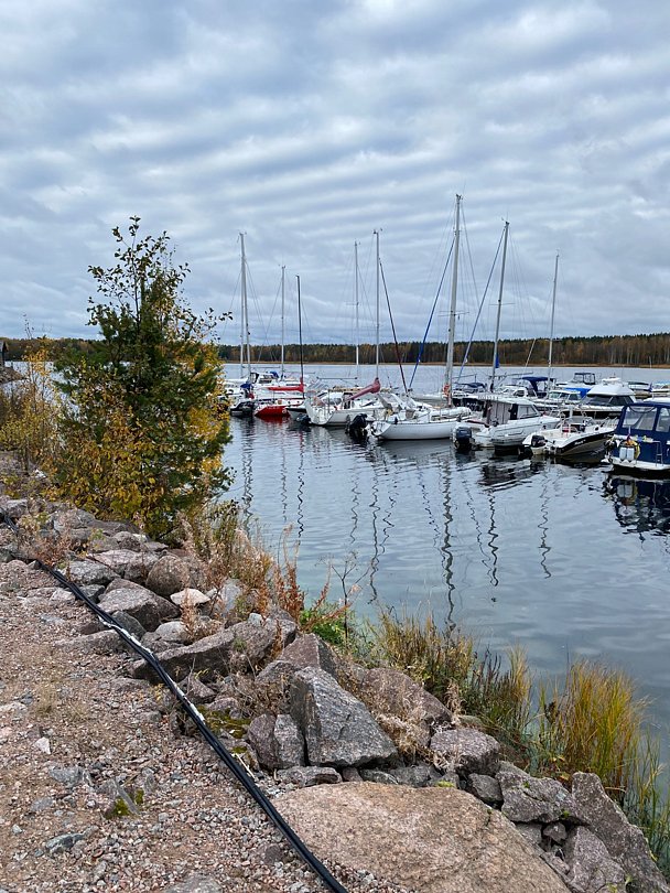 Фото 4 из отзыва о базе отдыха Окуневая