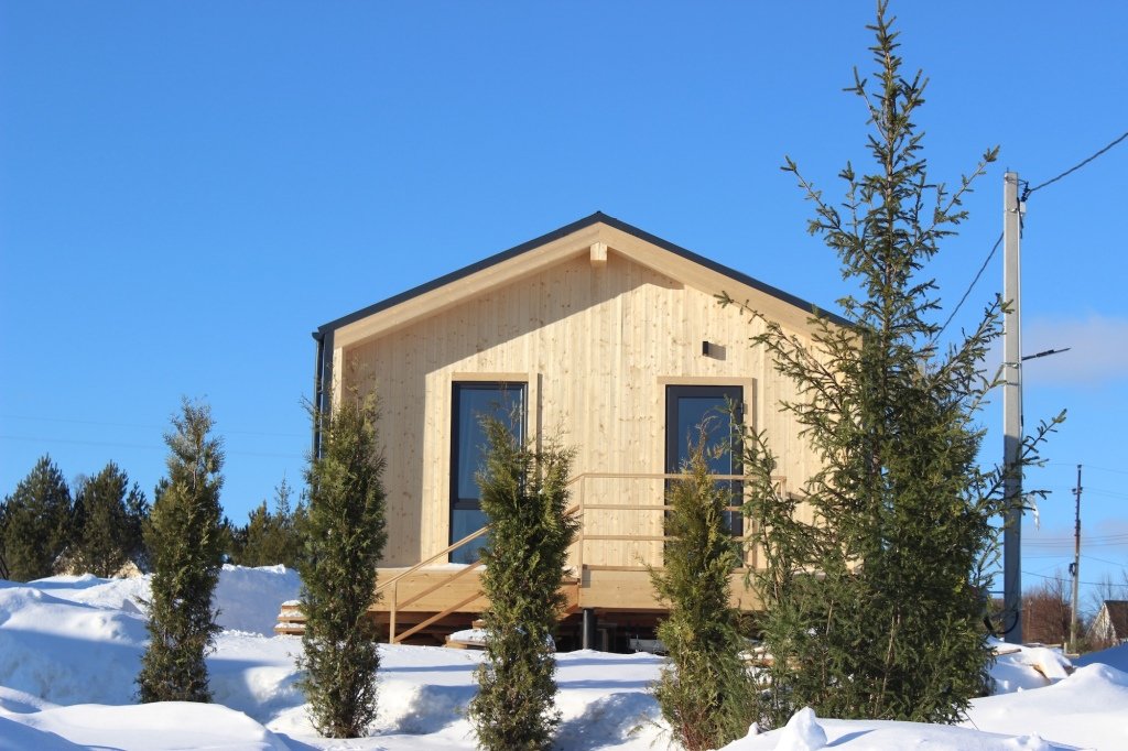 Коттедж Якунино-Дача Дом Ежа, Якунино, Московская область