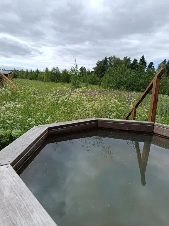 Частный дом Кипарис на поле, Московская область: фото 4