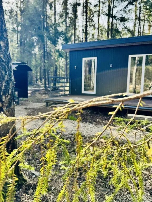 Уютный домик в лесу, Московская область: фото 4