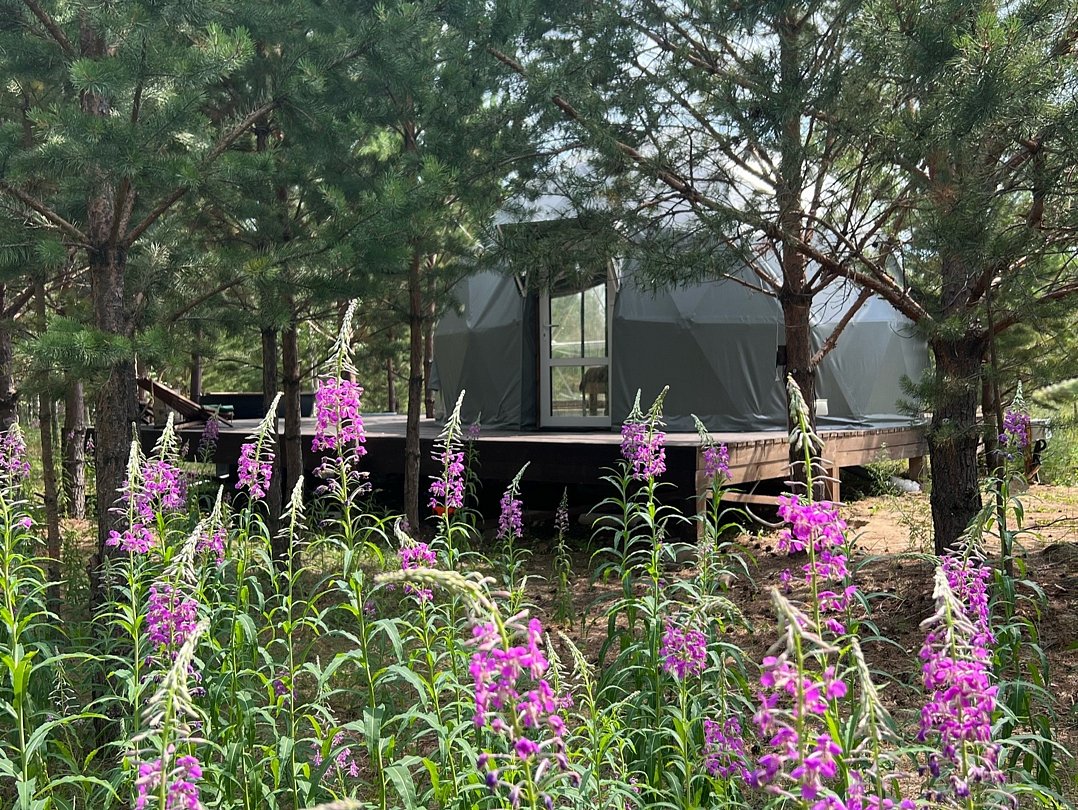 Купольный глэмп 4-местный