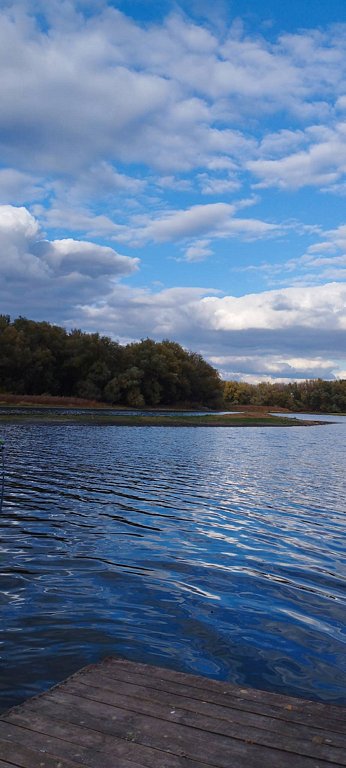 Фото из отзыва от 15.10.2025