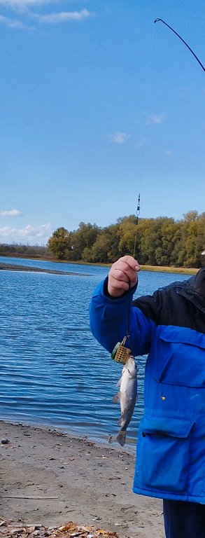 Фото из отзыва от 15.10.2025