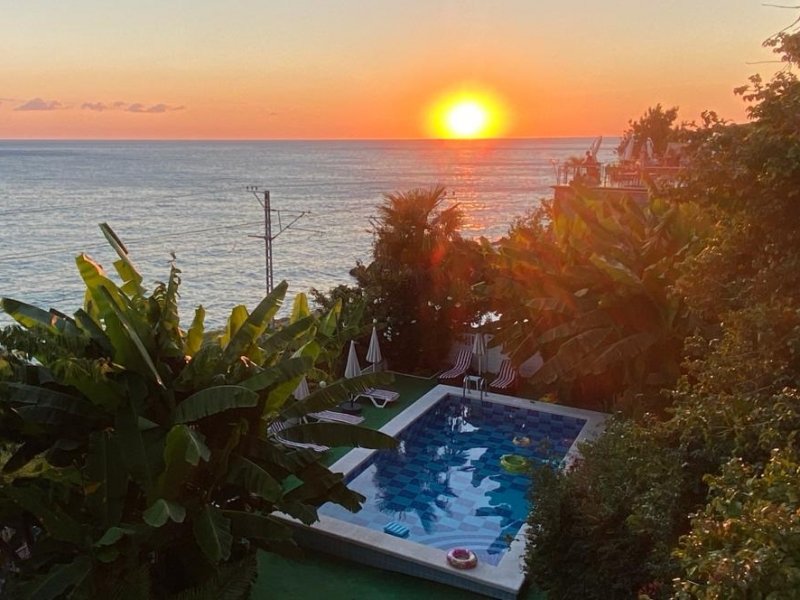 Гостевой дом ФЛАМИНГО, Сочи, Краснодарский край