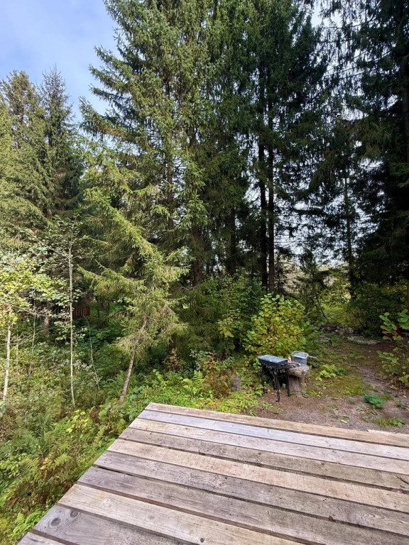 Частный дом Юрта среди сосен, Московская область: фото 5