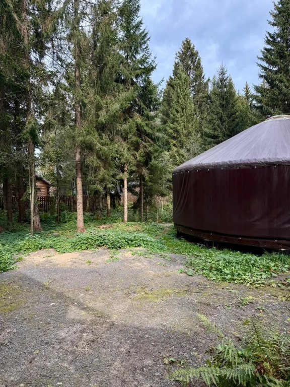 Частный дом Юрта среди сосен, Московская область: фото 4