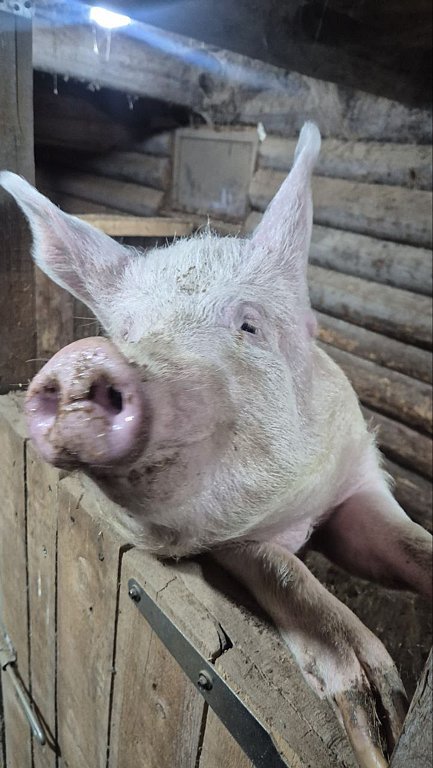 Фото из отзыва от 11.10.2025