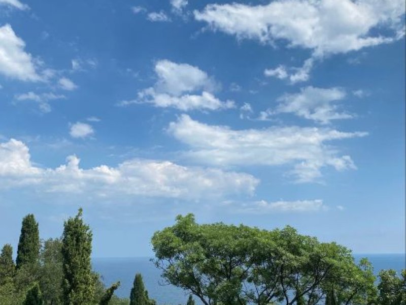 Гостевой дом Соверен, Крым: фото 3